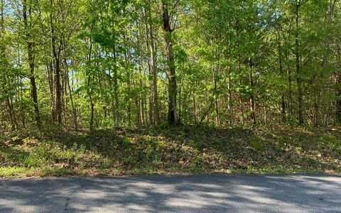 Lot 57 Fires Creek Cove, HAYESVILLE, NC 28904