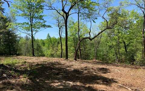 Lot 26 Winchester Cove, HAYESVILLE, NC 28904