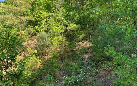 Lot 4A Trillium Heights, HAYESVILLE, NC 28904