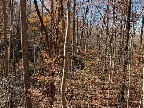 74J Ash Branch Drive, HAYESVILLE, NC 28904