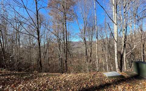 Lot 36M Mountain Harbour, HAYESVILLE, NC 28904