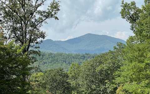 Lot 9 Wolfpen Gap, HIAWASSEE, GA 30546