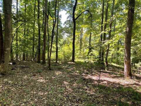 Lot 11B Grandview Drive, HAYESVILLE, NC 28904