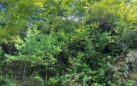 Lot 76 Fires Creek Cove, HAYESVILLE, NC 28904