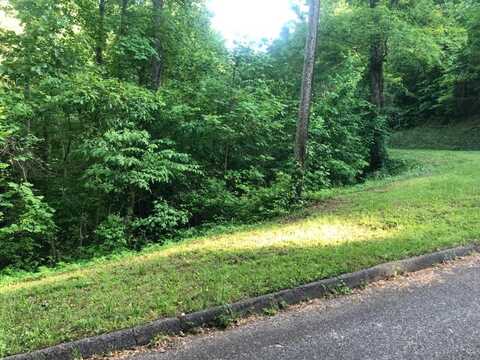 11 Cherrywood Dr, MURPHY, NC 28906