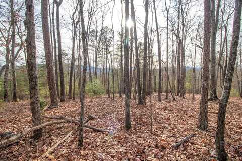 17 KENNELLY LOOP, MURPHY, NC 28906