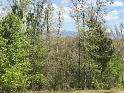 Lot 29 Highland Creek, MURPHY, NC 28906
