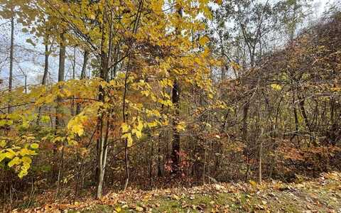 Lot 5A Ann's Lane, HAYESVILLE, NC 28904