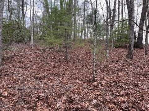 Lot 33 Sahkanaga Dr, MURPHY, NC 28906