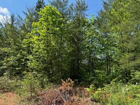 Lot 11 Paradise Mountain, MARBLE, NC 28905