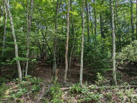 Lot 6 Horvath Rd, MURPHY, NC 28906