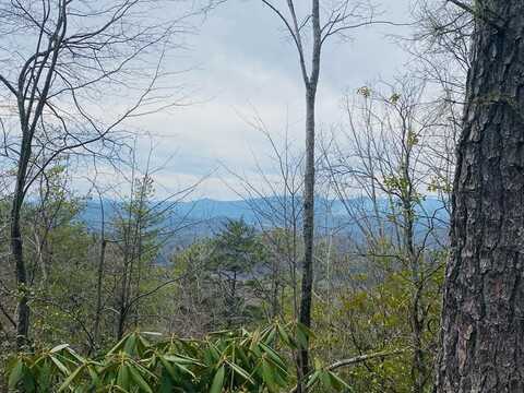 Lot 46 Ridge View Dr., ANDREWS, NC 28901