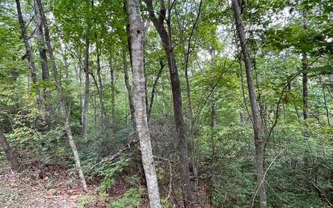 Lot 20 Enchanted Ridge, HAYESVILLE, NC 28904