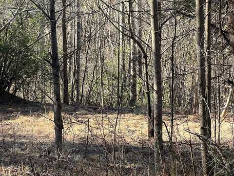 Lot 59C Mountain Harbour, HAYESVILLE, NC 28904