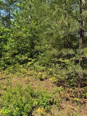 Lot 12 Paradise Mountain, MARBLE, NC 28905