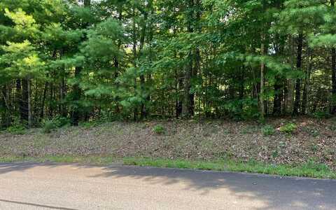 Lot 58 Fires Creek Cove, HAYESVILLE, NC 28904