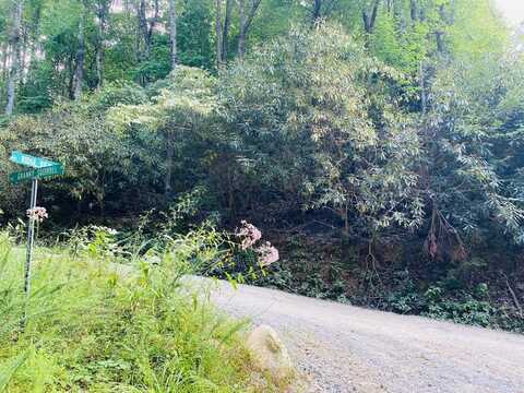 Lot 86 Granny Squirrel Dr., ANDREWS, NC 28901