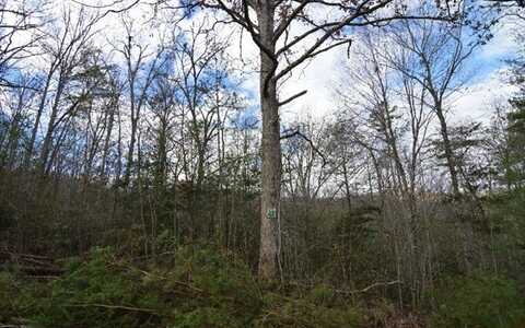 Lot 48 Laurel Brook, BLAIRSVILLE, GA 30512