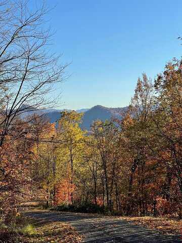 58M Mountain Harbour, HAYESVILLE, NC 28904