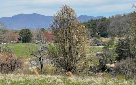 Lot 8 Cabin Drive, HAYESVILLE, NC 28904