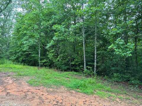 TBD Lower Tuskeegee Rd, ROBBINSVILLE, NC 28771