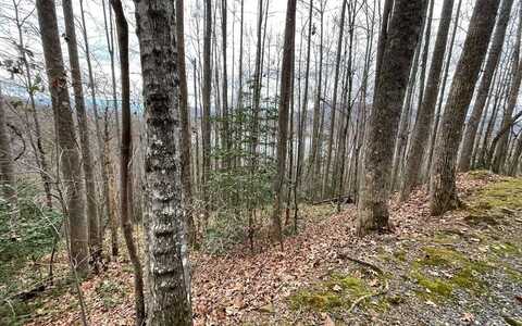 Lot 19 Twin Mountain Subdivision, HIAWASSEE, GA 30546