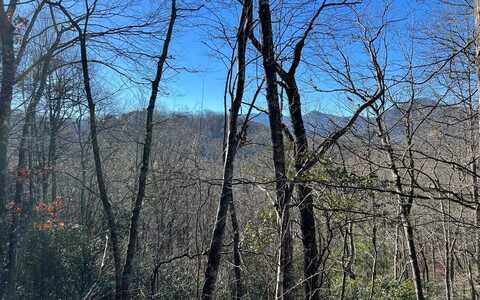 Lot 33 Fodder Creek Mill Drive, HIAWASSEE, GA 30546