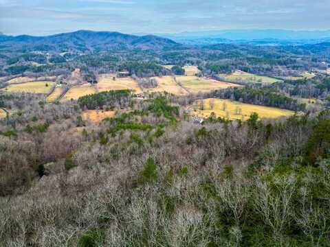 Lot 5 Mason Way, BRASSTOWN, NC 28902