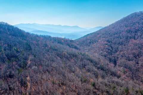 100 Ac Mica Mine Road, HAYESVILLE, NC 28904