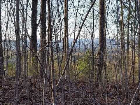 00 Dasali Way, MURPHY, NC 28906