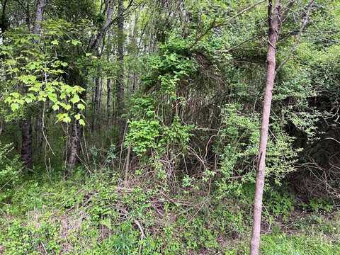 Lot S River Oaks Dr, HAYESVILLE, NC 28904