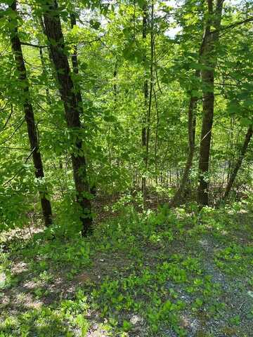 Lot 23M Ridges Fairway, HAYESVILLE, NC 28904