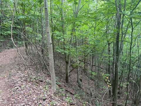 0000 Fawn Ridge Trail, MURPHY, NC 28906