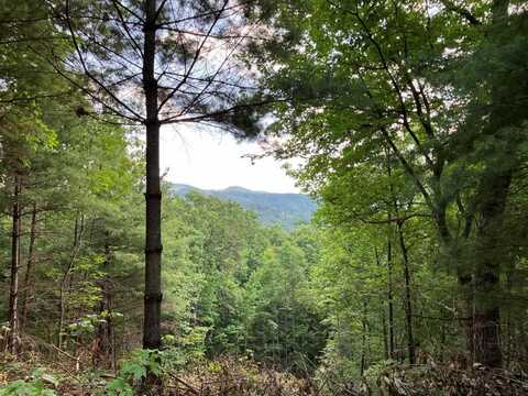 Lt 15 View Ridge Trail, MURPHY, NC 28906