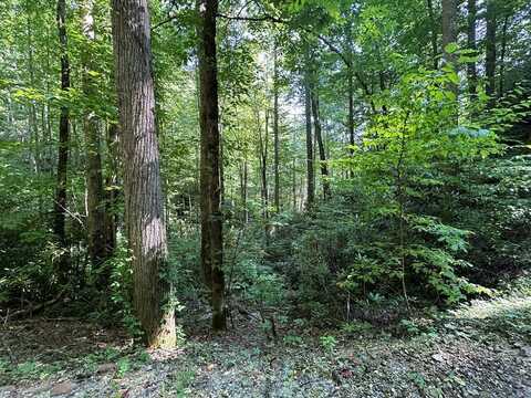 TBD Briggs Cove Road, STECOAH, NC 28771