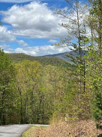 33-35-36 J  Ash Branch Road, HAYESVILLE, NC 28904