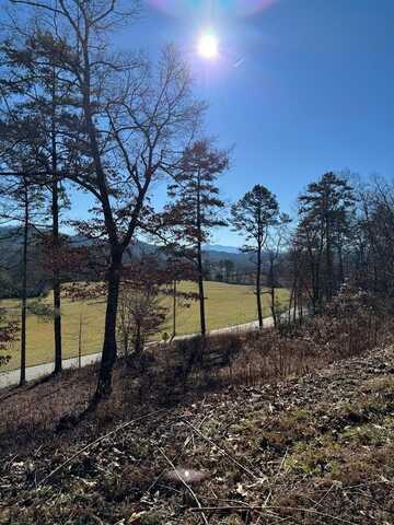 000 Mistletoe Rdg, MURPHY, NC 28906