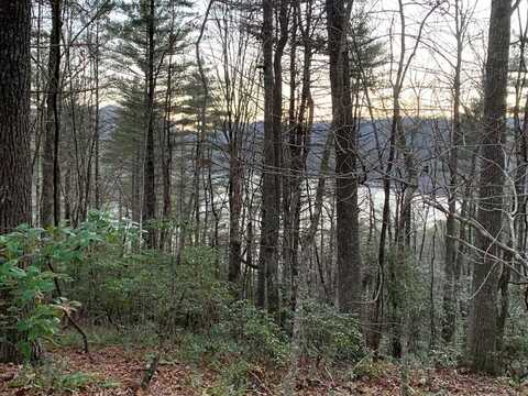 TBD Lakeshore Drive, NANTAHALA, NC 28781