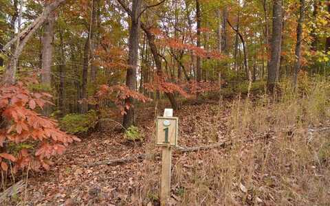 Lot 1 Serenity Ridge, BLAIRSVILLE, GA 30512