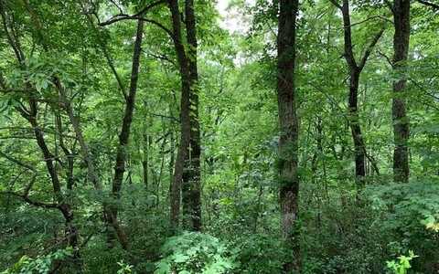 Lot 50 A Eagles View, HAYESVILLE, NC 28904