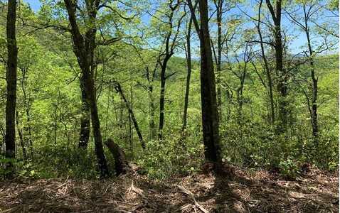 Lot 22B Winchester Cove, HAYESVILLE, NC 28904