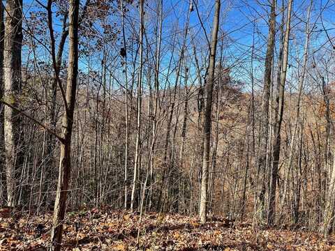 44J Ash Branch Drive, HAYESVILLE, NC 28904