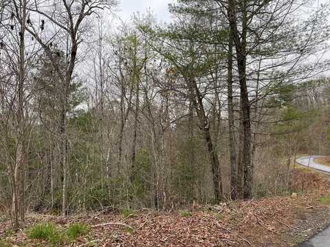 Lot 5 Trillium Heights, HAYESVILLE, NC 28904