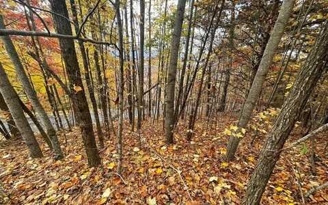 Lot 24B Grandview Drive, HAYESVILLE, NC 28904