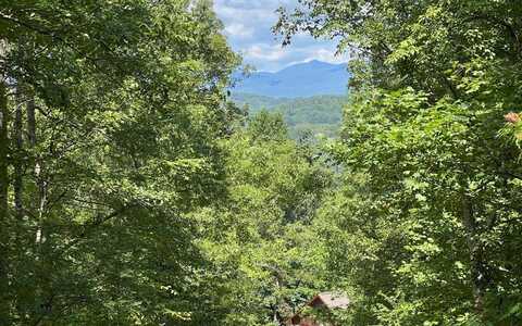 Lot 17A Trillium Heights, HAYESVILLE, NC 28904