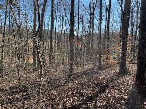 Lot 2E The Woodlands, HAYESVILLE, NC 28904