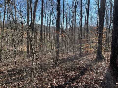 Lot #12E The Woodlands, HAYESVILLE, NC 28904