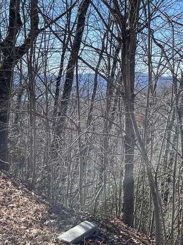 Lot 29J Ash Branch Rd,, HAYESVILLE, NC 28904