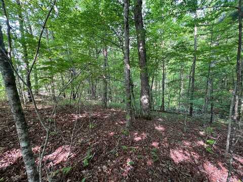 Lot 1 Weece Mountain Est, MURPHY, NC 28906