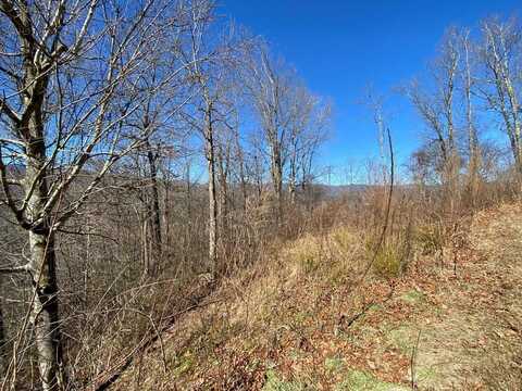 Lot 42 Silo View, MARBLE, NC 28905